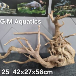 Red moor / Azalea wood No 25 42x27x56cm
