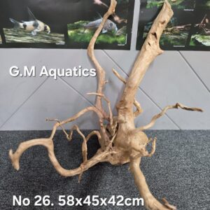 Red moor / Azalea wood  No 26  58x45x42cm