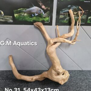 Red moor / Azalea wood  No 31  54x43x13cm