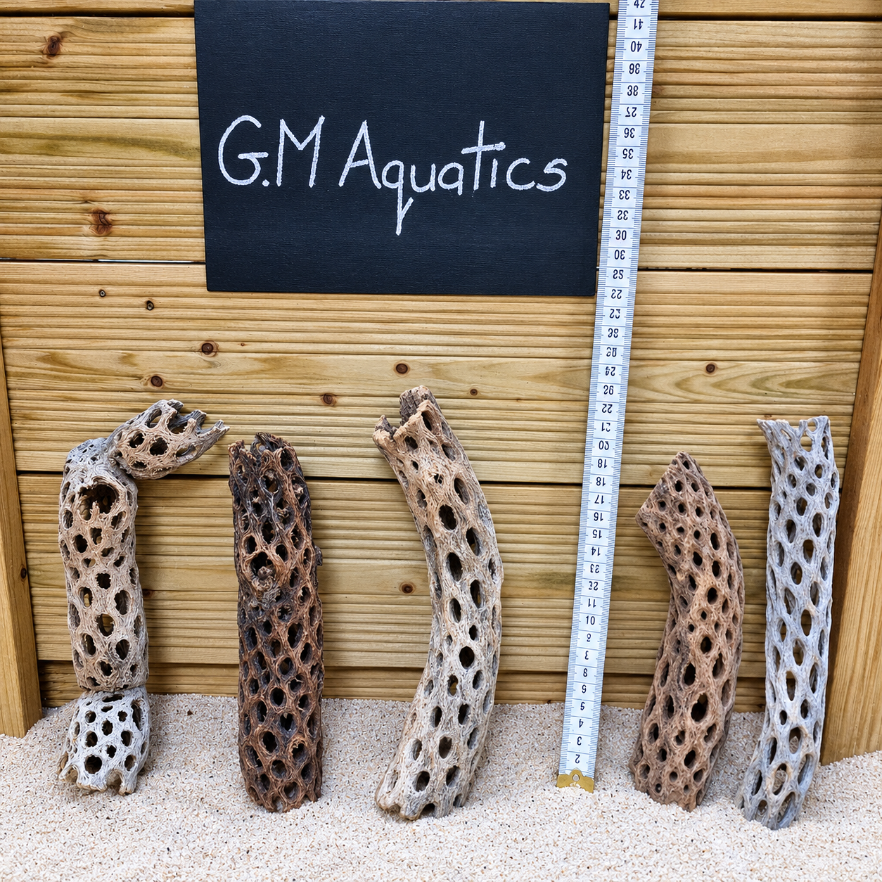 Cholla Cactus Wood Aquariums Shrimp Snails Fry Aquascape Pleco about 20cm long 4cm wide